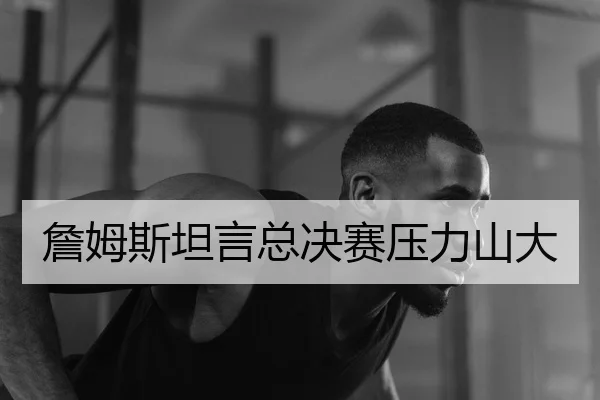詹姆斯坦言总决赛压力山大